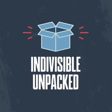 Illustration of open box above the text "Indivisible Unpacked"